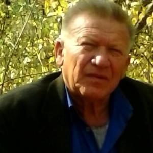 Григорий, 71 год, Тольятти