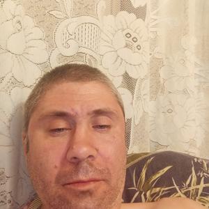 Анатолий, 41 год, Москва