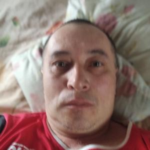 Албэрт, 42 года, Казань