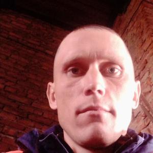 Дмитрий Петренко, 33 года, Инской