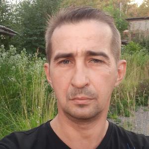 Александр, 48 лет, Пикалево