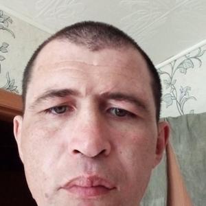 Tolan Sergeych, 42 года, Рубцовск
