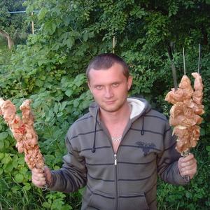Денис, 36 лет, Кировск