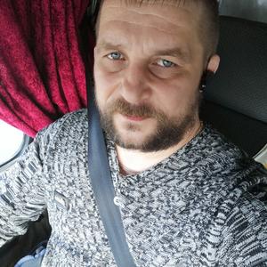 Владимир, 42 года, Ярославль