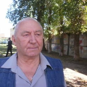 Геннадий, 82 года, Саратов