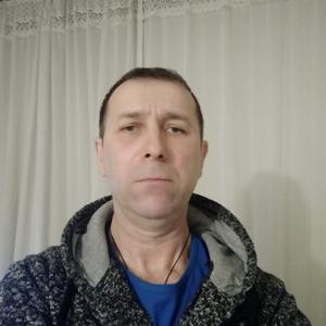 Вячеслав, 51 год, Елабуга
