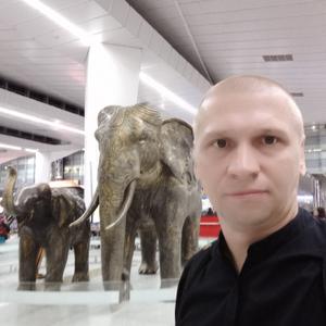 Иван, 29 лет, Архангельск