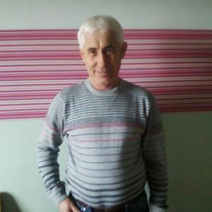 Николай, 66 лет, Челябинск
