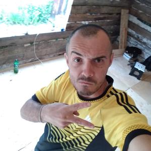 Андрей, 42 года, Бородино