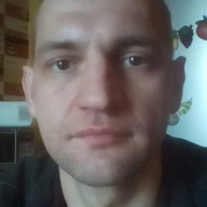 Степанов Илья, 42 года, Брянск