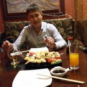 Владимир, 44 года, Винсады