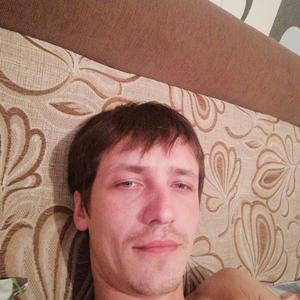 Николай, 37 лет, Апатиты