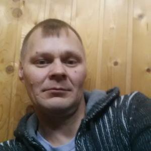 Иван, 44 года, Боровичи