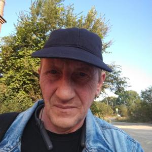 Анатолий, 56 лет, Тольятти