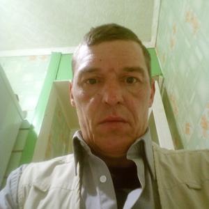 Юрий, 46 лет, Ярославль