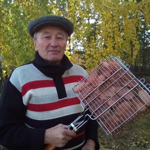 Сергей Островский, 63 года, Саянск