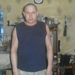 Volodya, 53 года, Новопетровское