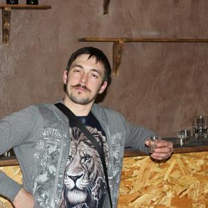 Дмитрий Киряев, 36 лет, Тихвин