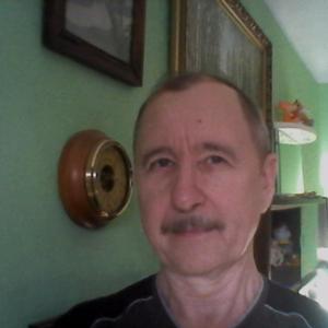 Анатолий, 65 лет, Кольчугино