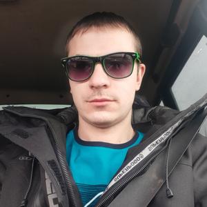 Анатолий, 31 год, Чистополь