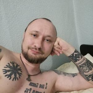 Светозар, 41 год, Подольск