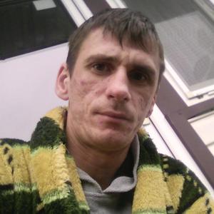 Антон Сердюк, 38 лет, Туапсе