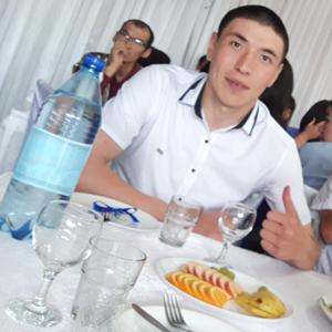 Николай, 25 лет, Железногорск