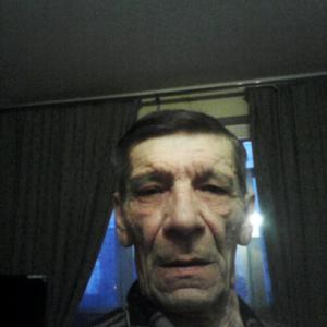 Владимир, 78 лет, Радужный