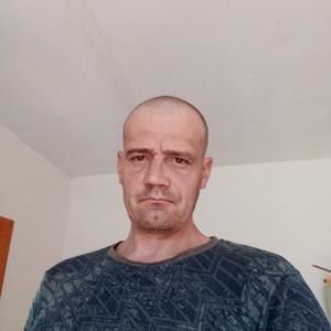 Николай, 42 года, Орел