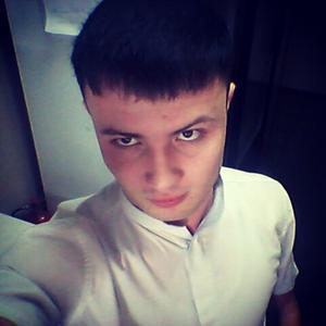 Шахризад, 28 лет, Петропавловск-Камчатский
