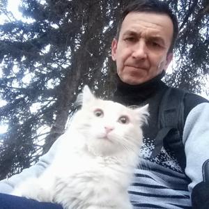 Олег, 52 года, Тольятти