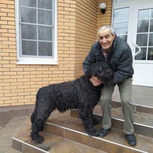 Сергей, 70 лет, Тула
