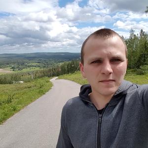 Ivan, 27 лет, Stockholm