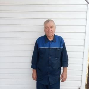Анатолий, 73 года, Курган