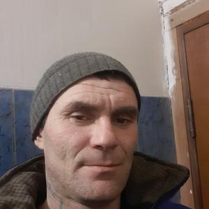 Максим, 39 лет, Опочка