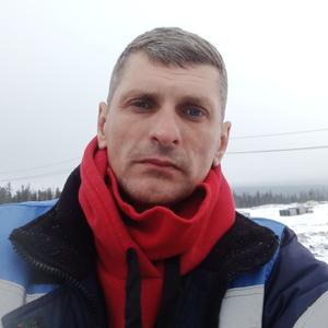 Сергей, 43 года, Энергетик