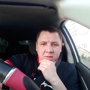Андрей Сотов, 40 лет, Вологда