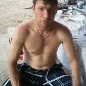 Иван, 42 года, Луга