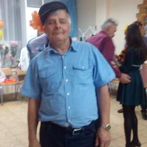 Парни в Йошкар-Оле: Анатолий, 64 - ищет девушку из Йошкар-Олы