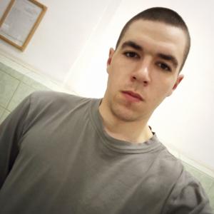 Владимир, 24 года, Сибирцево