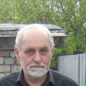 Сергей, 71 год, Воронеж