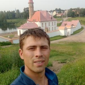 Александр, 35 лет, Гатчина