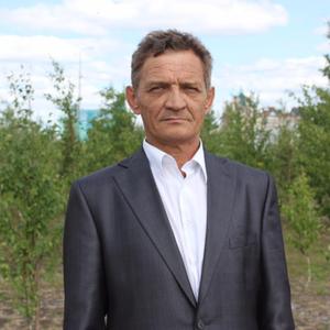 Александр Минеев, 64 года, Первоуральск