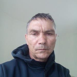 Борис, 43 года, Ростов-на-Дону
