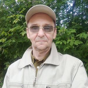 Сергей Зайцев, 65 лет, Пермь