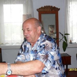 Анатолий, 76 лет, Анжеро-Судженск