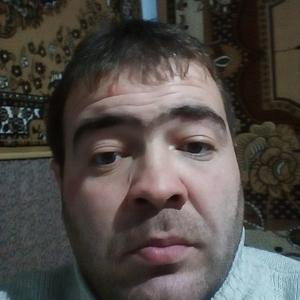 Александр, 39 лет, Молдовановка