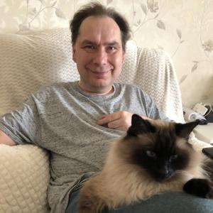 Игорь, 43 года, Тольятти