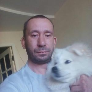 Роман, 44 года, Архангельск