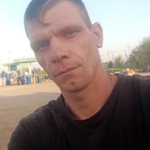 Владимир, 32 года, Сады Придонья